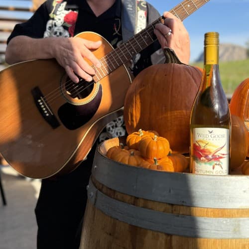 Halloween Happy Hour with Spooky Steve Jones at Wild Goose Winery at Wild Goose Winery