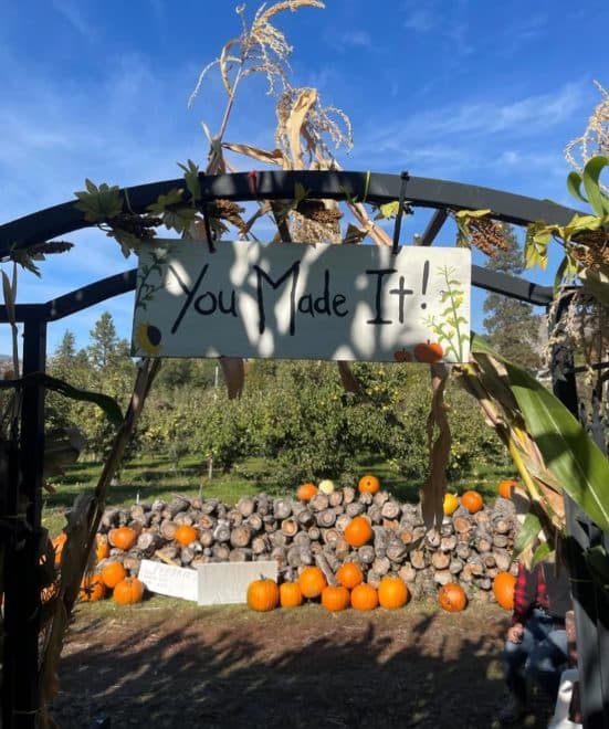 Apple Bin Corn Maze at Penticton