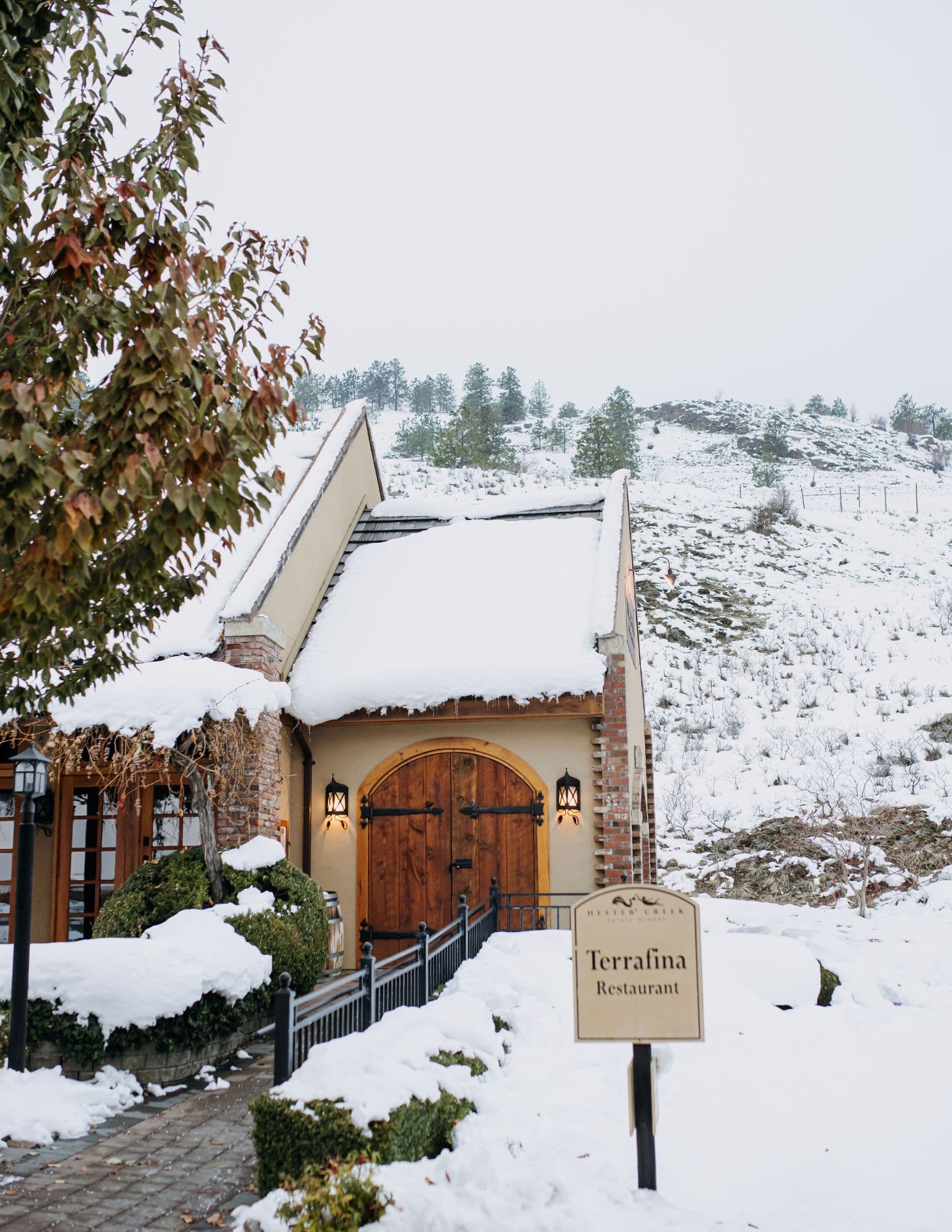 Holiday Market at Hester Creek Winery at Hester Creek Estate Winery