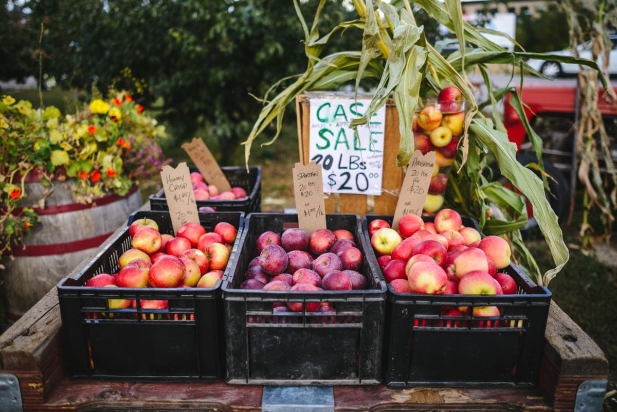 Poster for Vernon Farmers Market At The Ranch
