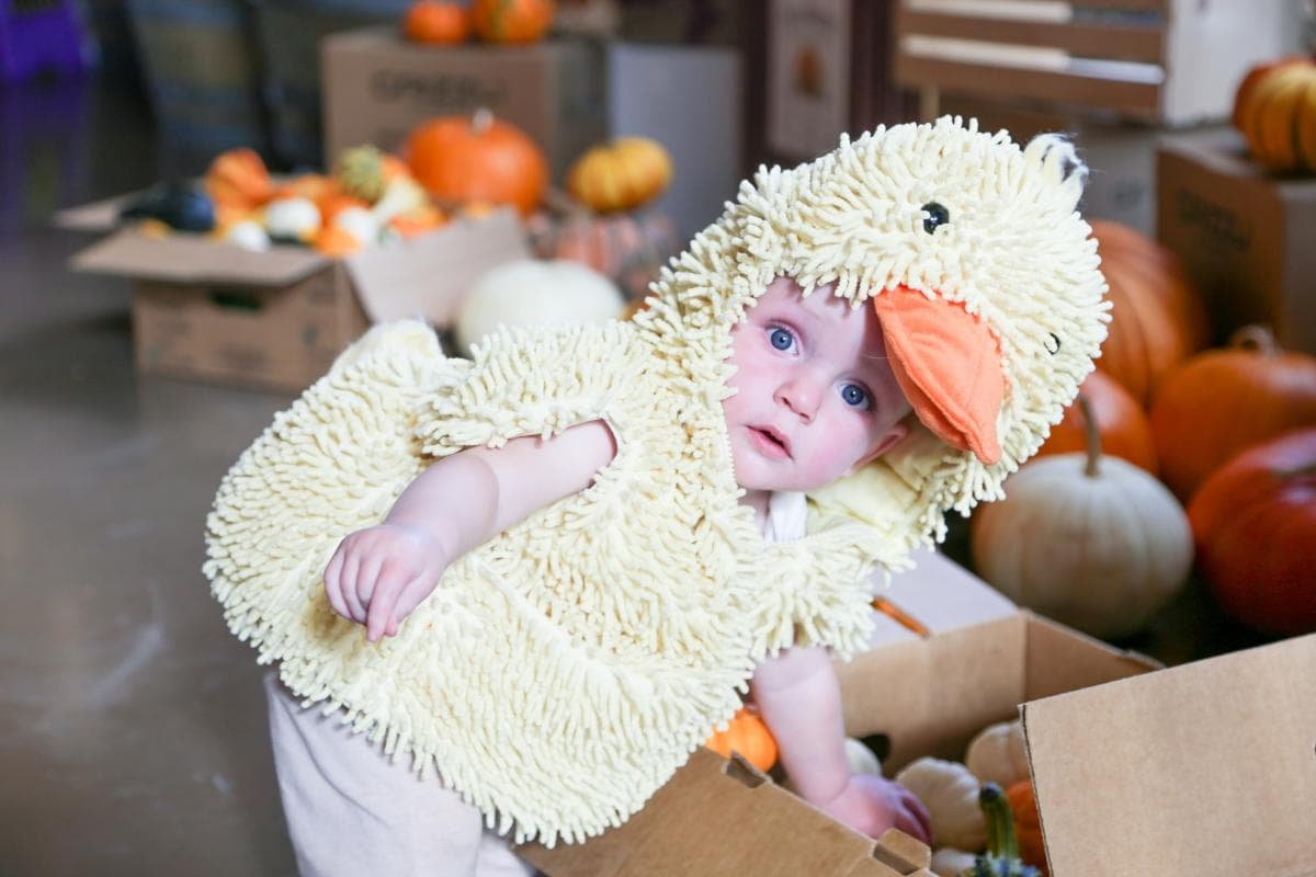 6th Annual Halloweenie: Halloween Day Family Celebration at Grizzli Winery