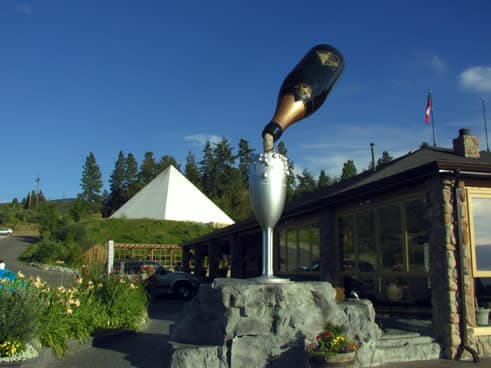 Winter Wreath Workshop at Summerhill Pyramid Winery