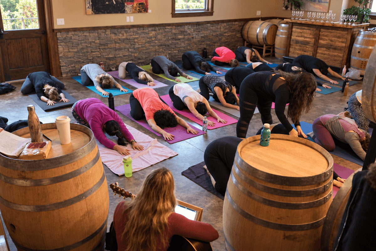 Vibrations & Vines: Yin Yoga & Sound at The View Winery & Vineyard